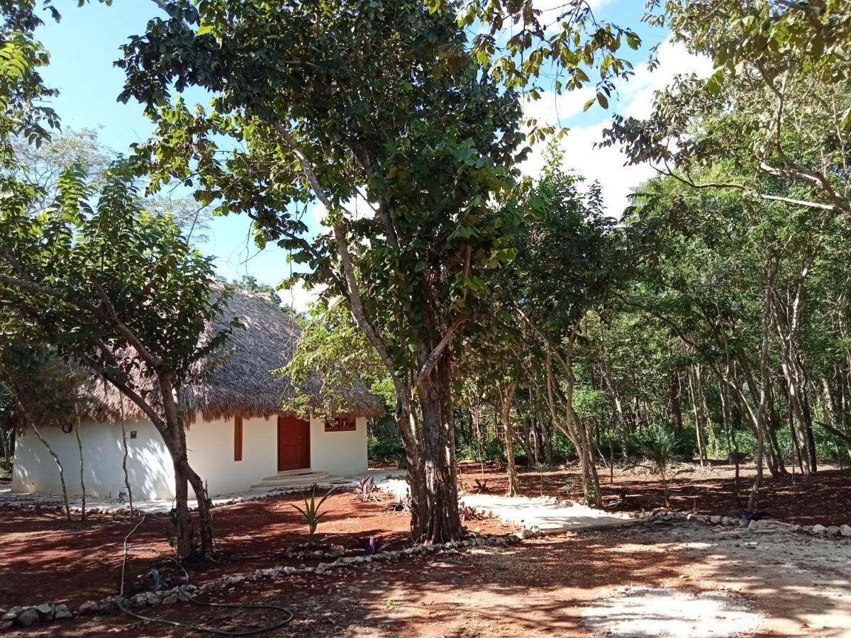 Cabana Magica & Yoga Ekbalán Exterior foto